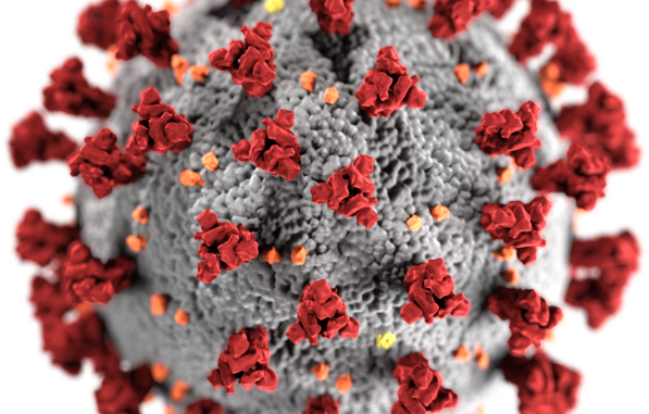 Coronavirus